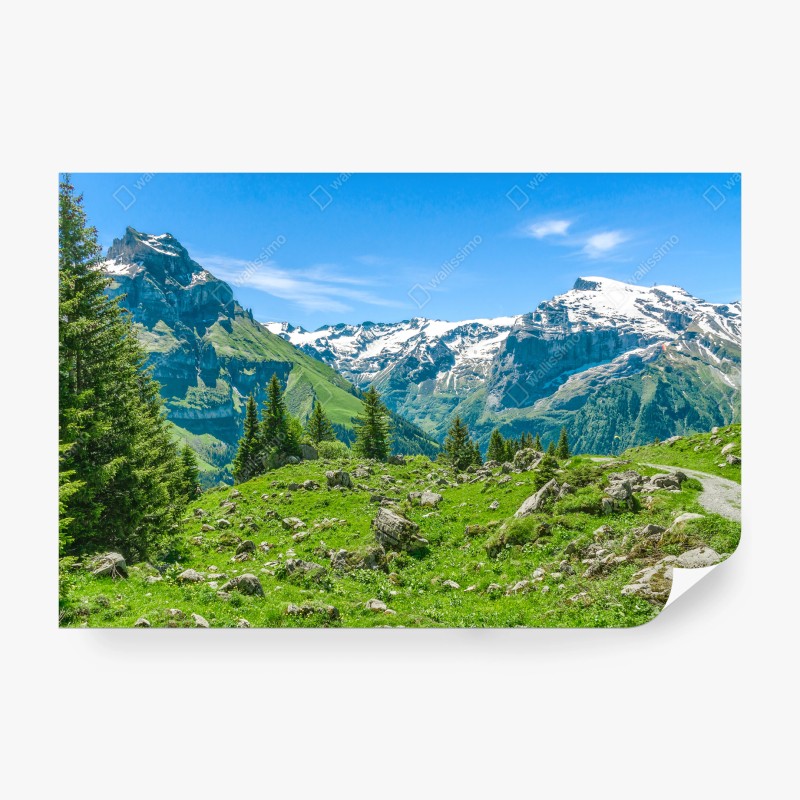 Berge – Wallnifity®