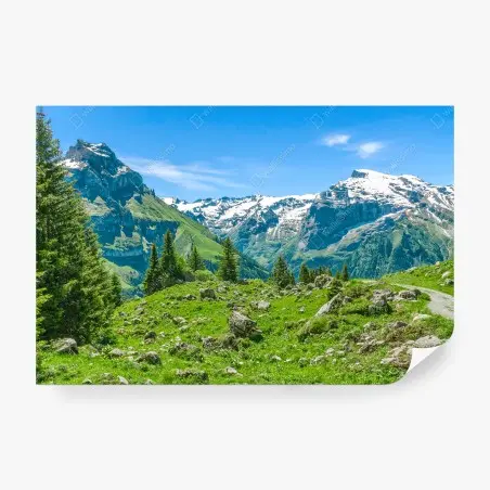 Fototapete sonnige alpwiese in Engelberg – Wallnifity®