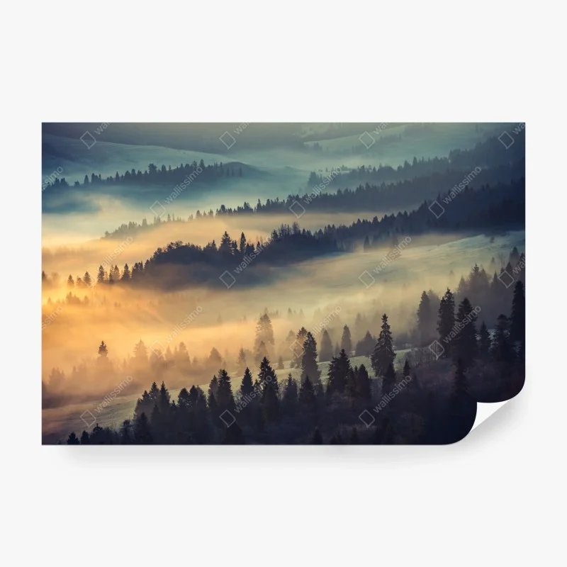 Wälder – Wallnifity®