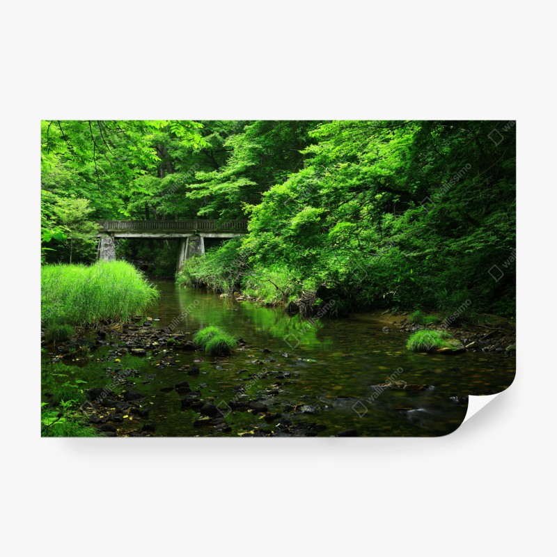 Natur – Wallnifity®