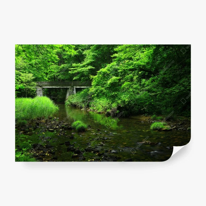 Fototapete – Wallnifity®