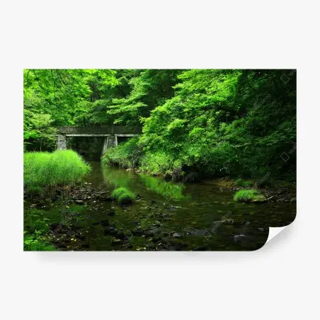 Fototapete üppiger grüner waldbach mit steinbrücke – Wallnifity®