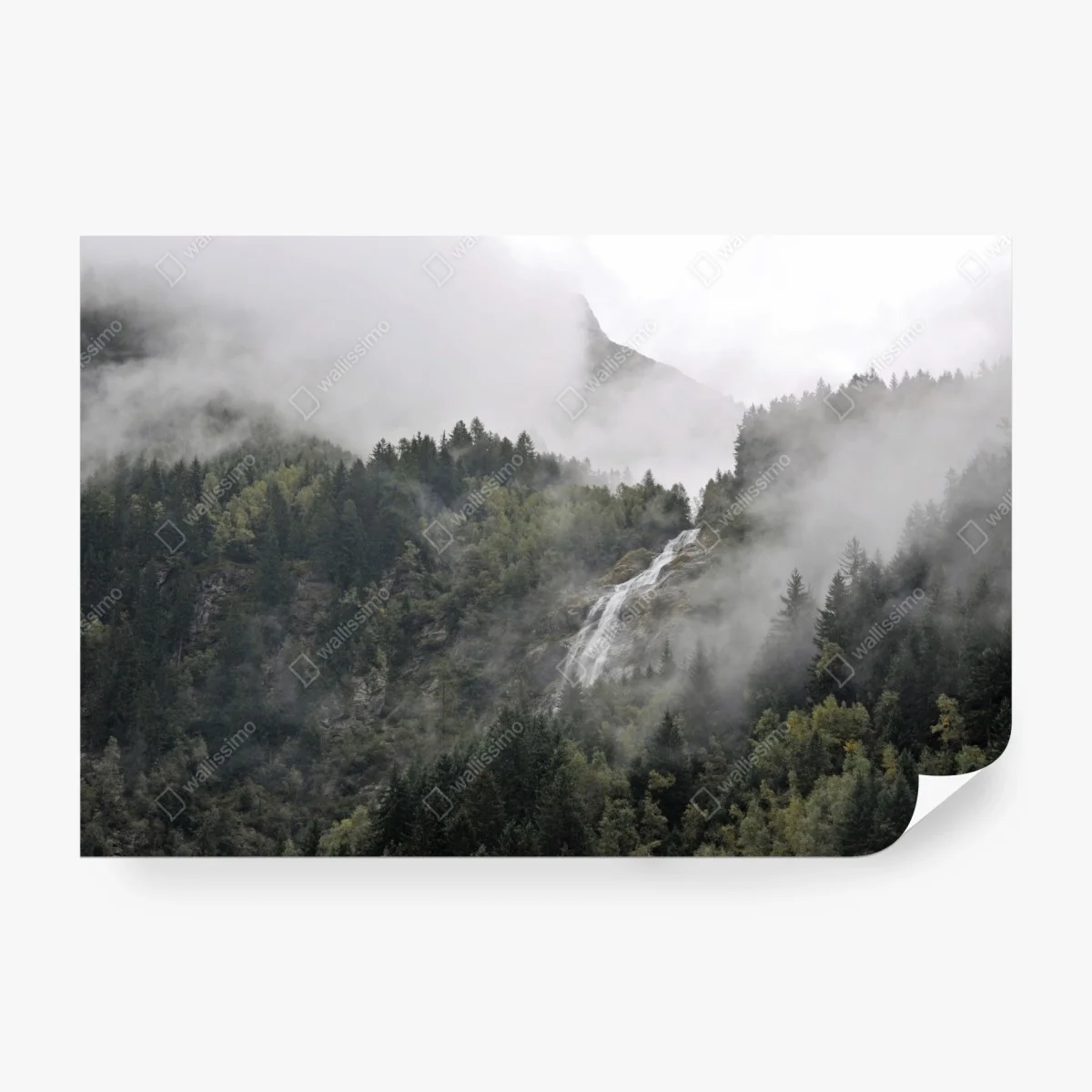 Fototapete nebliger wasserfall im bergwald – Wallnifity®