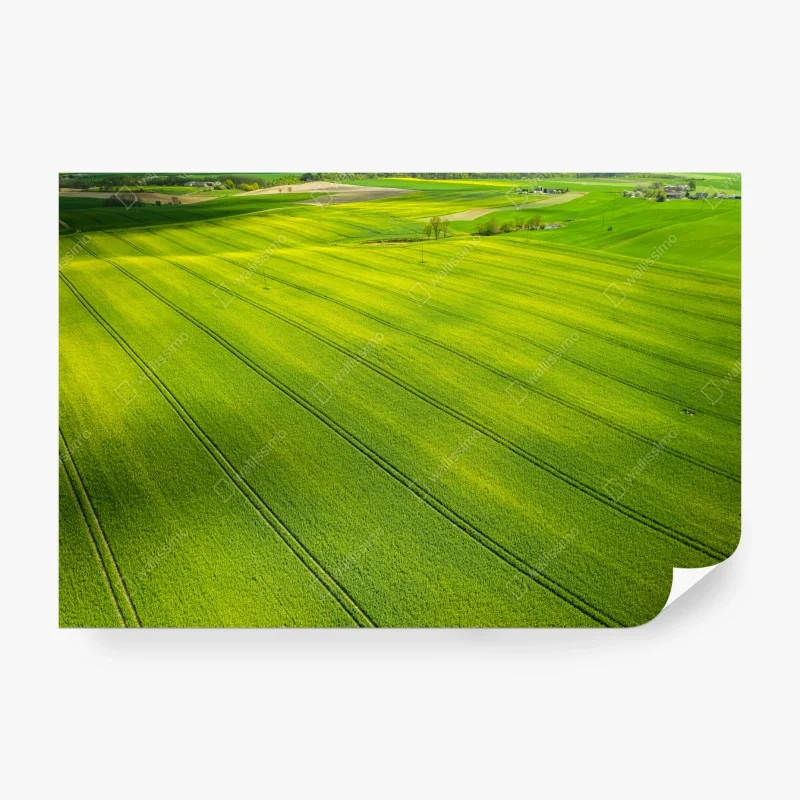 Landschaften – Wallnifity®