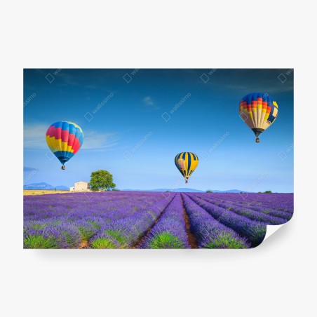 Fototapete lavendelfelder bei Valensole mit luftballons – Wallnifity®
