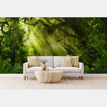 Fototapete sonnenbeschienener waldweg – Wallnifity®