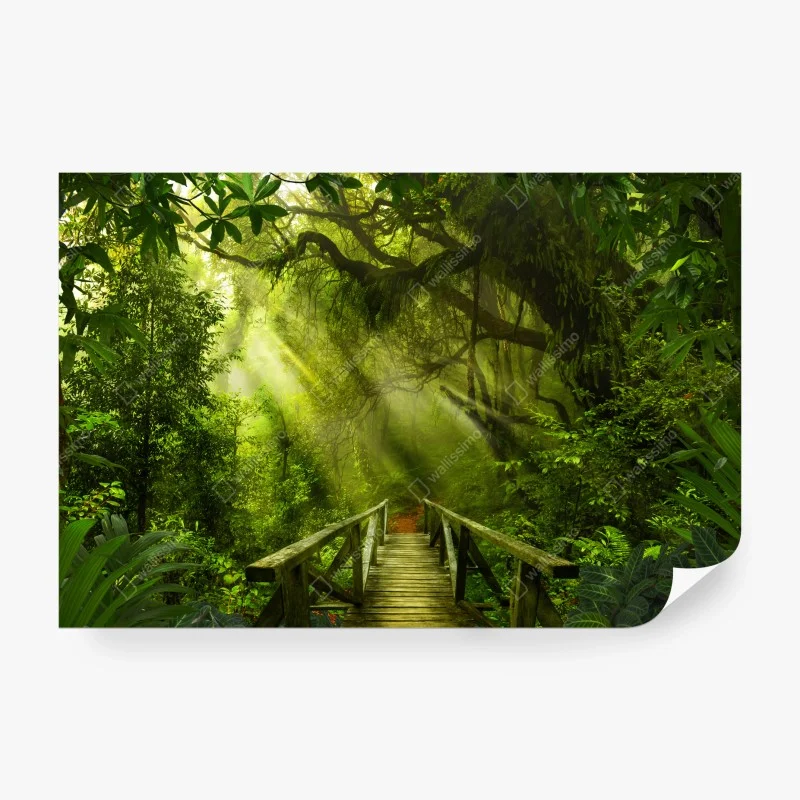 Wälder – Wallnifity®