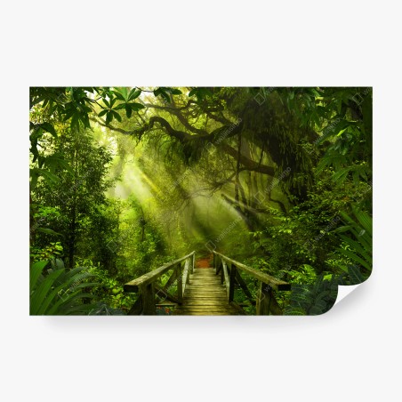 Fototapete sonnenbeschienener waldweg – Wallnifity®