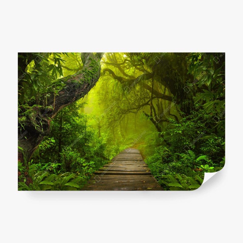 Natur – Wallnifity®