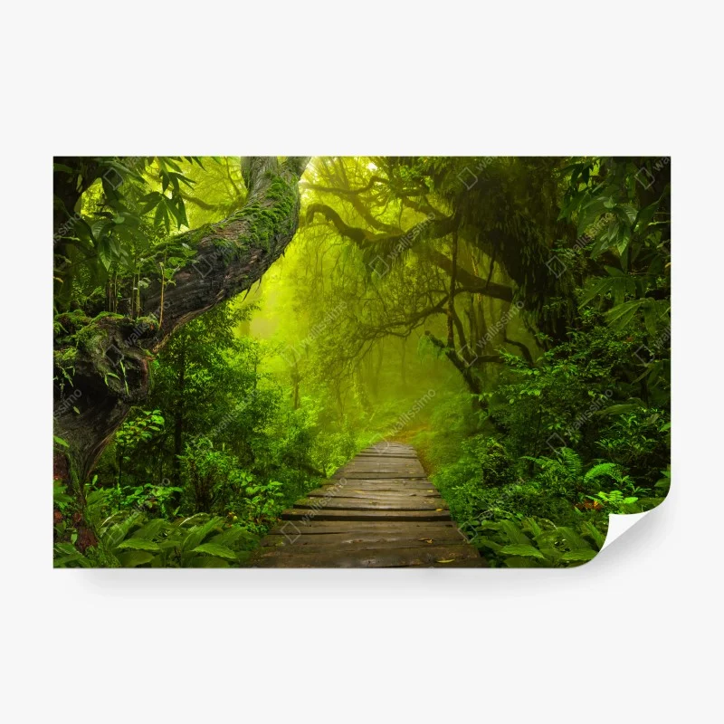 Fototapeten – Wallnifity®
