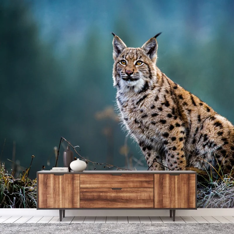 Wildtiere – Wallnifity®