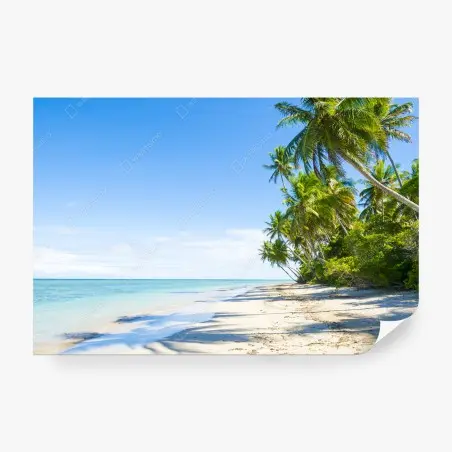 Fototapete tropischer palmenstrand – Wallnifity®
