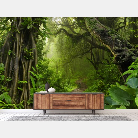 Fototapete üppiger nebliger waldpfad – Wallnifity®