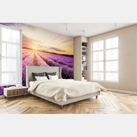 Fototapete sonnenaufgang über lavendelfeldern – Wallnifity®