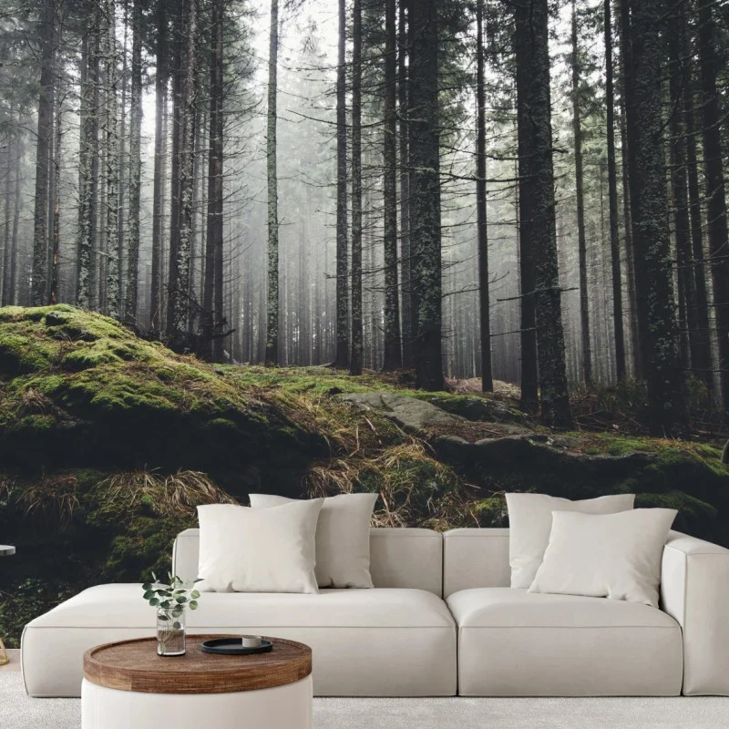 Wälder – Wallnifity®