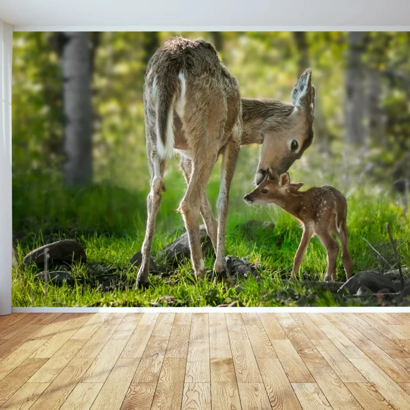 Tiere – Wallnifity®