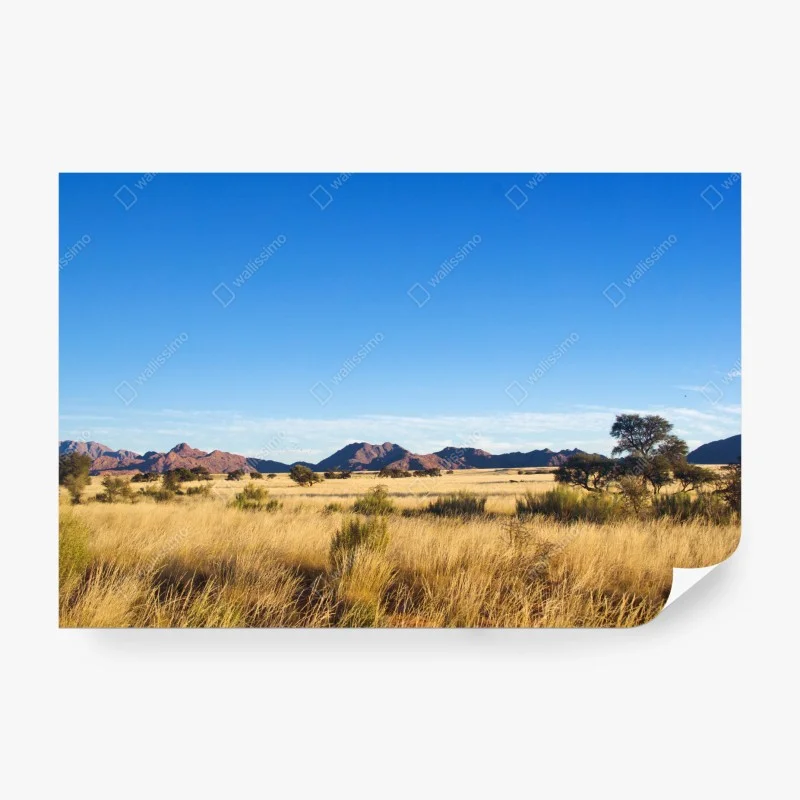 Natur – Wallnifity®