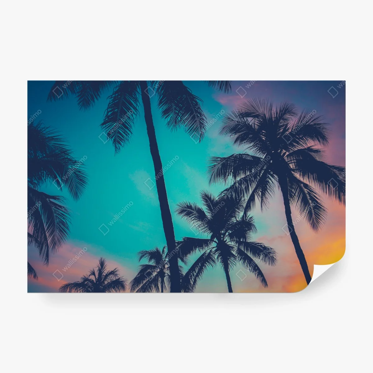 Fototapete vintage palmen auf Hawaii bei sonnenuntergang – Wallnifity®