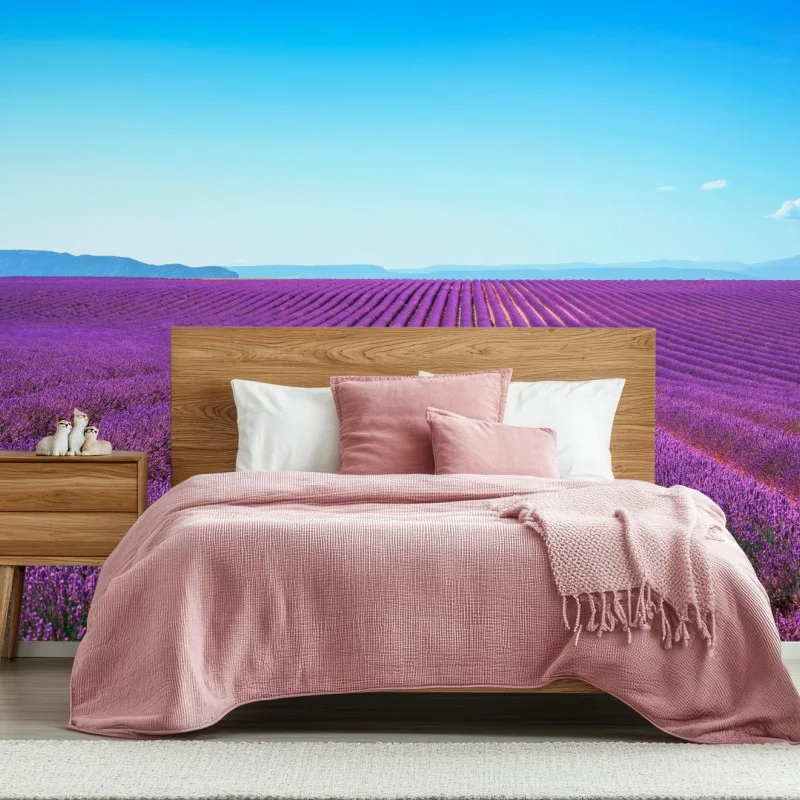 Wiesen – Wallnifity®