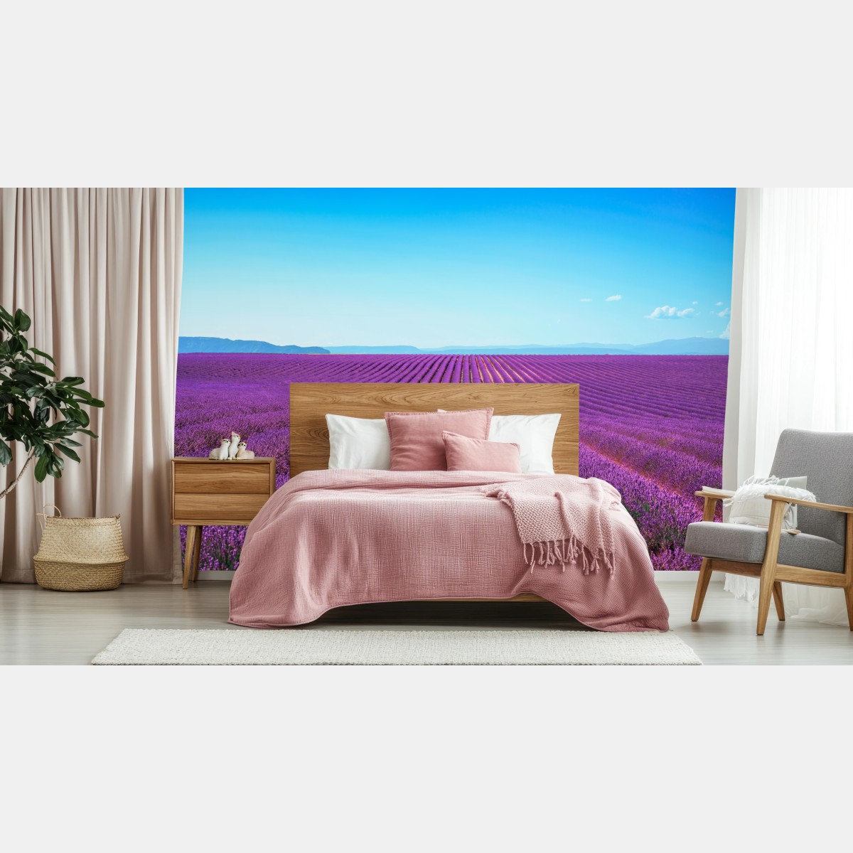 Fototapete lavendelfelder unter blauem himmel – Wallnifity®