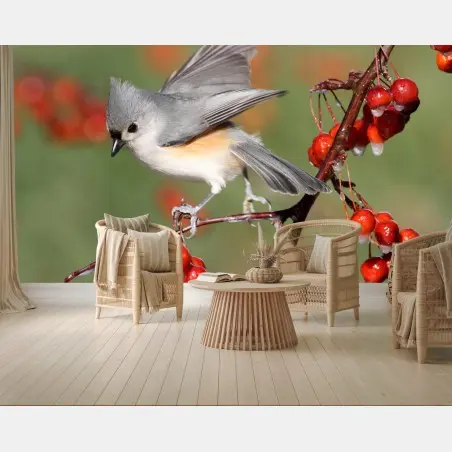 Fototapete grauer vogel auf roten beeren – Wallnifity®