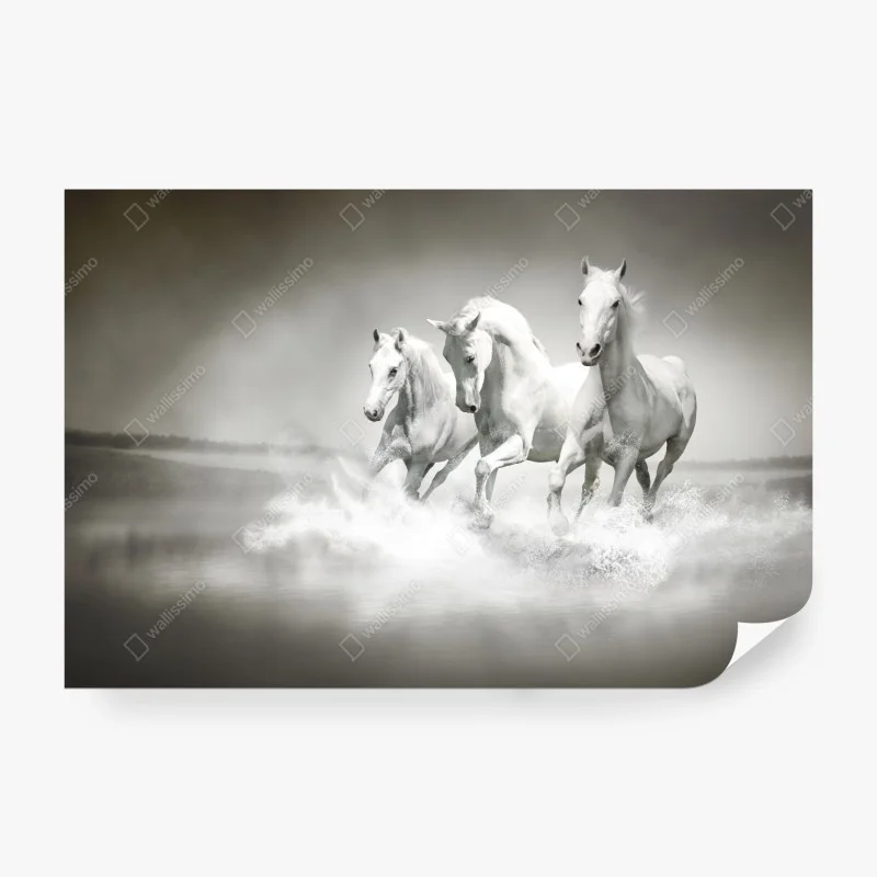 Pferde – Wallnifity®