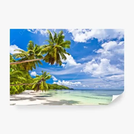 Fototapete tropischer strand mit palmen – Wallnifity®