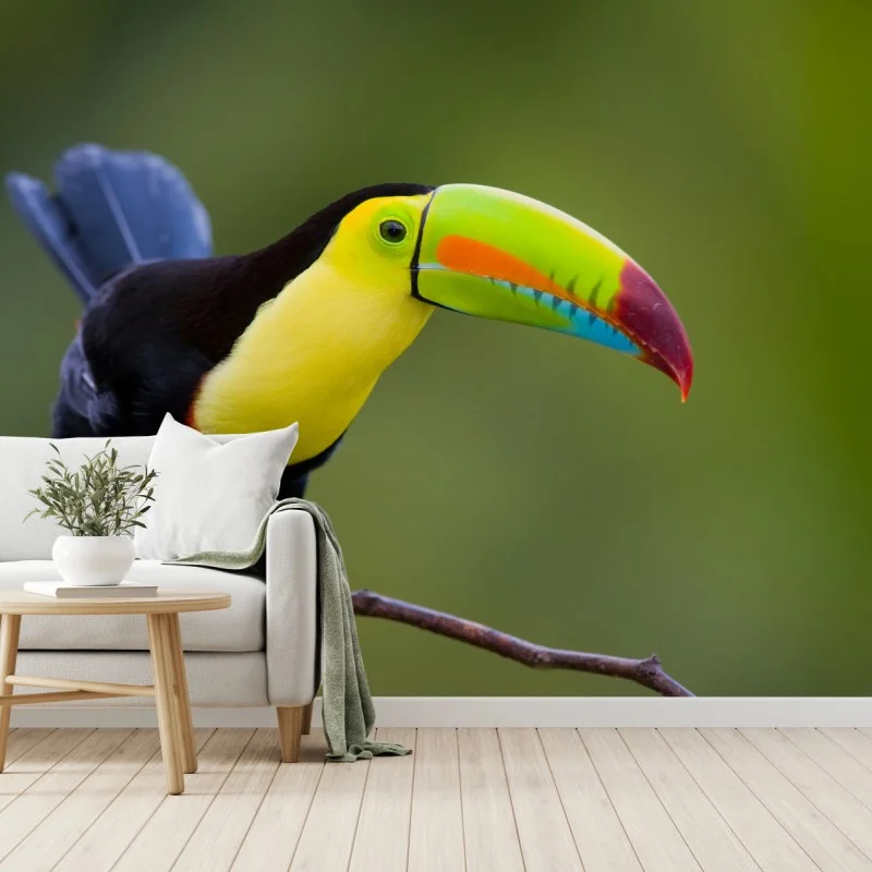 Tiere – Wallnifity®