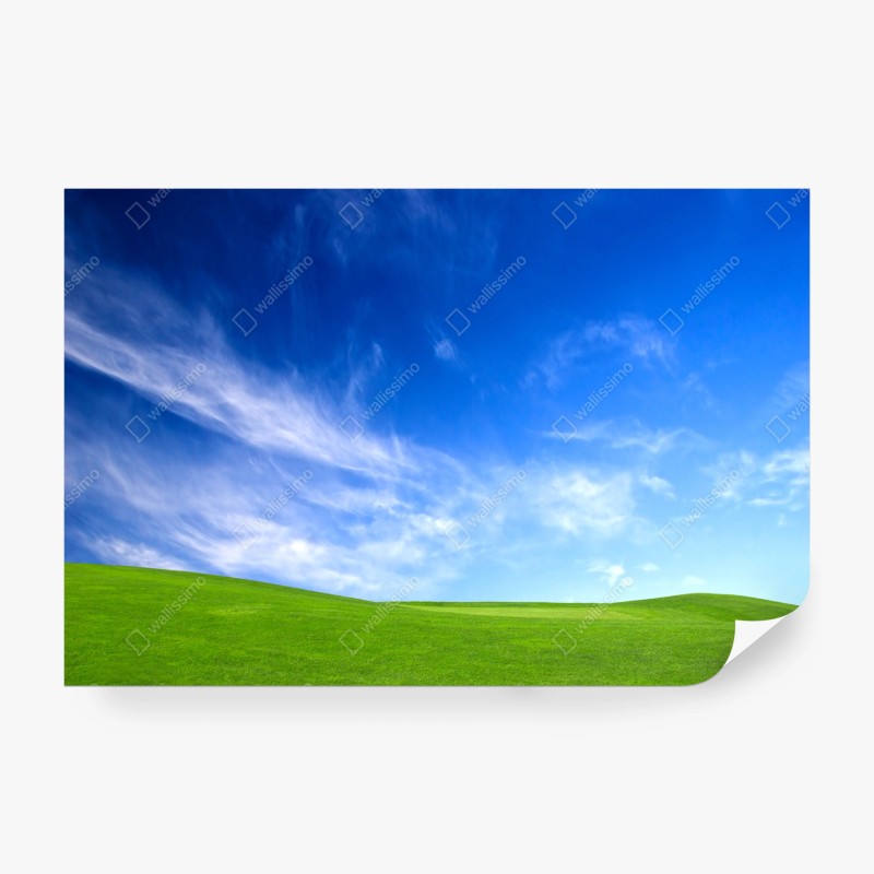 Fototapeten – Wallnifity®