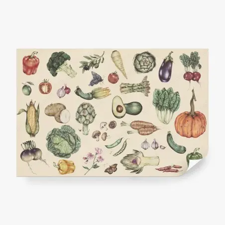 Fototapete handgezeichnetes botanisches gemüsemotiv – Wallnifity®