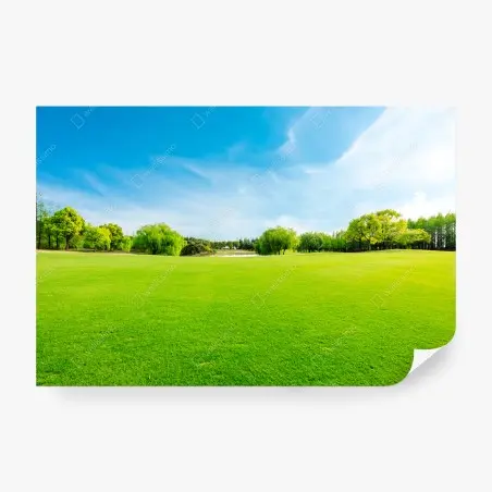 Fototapete friedliche grüne wiese unter blauem himmel – Wallnifity®