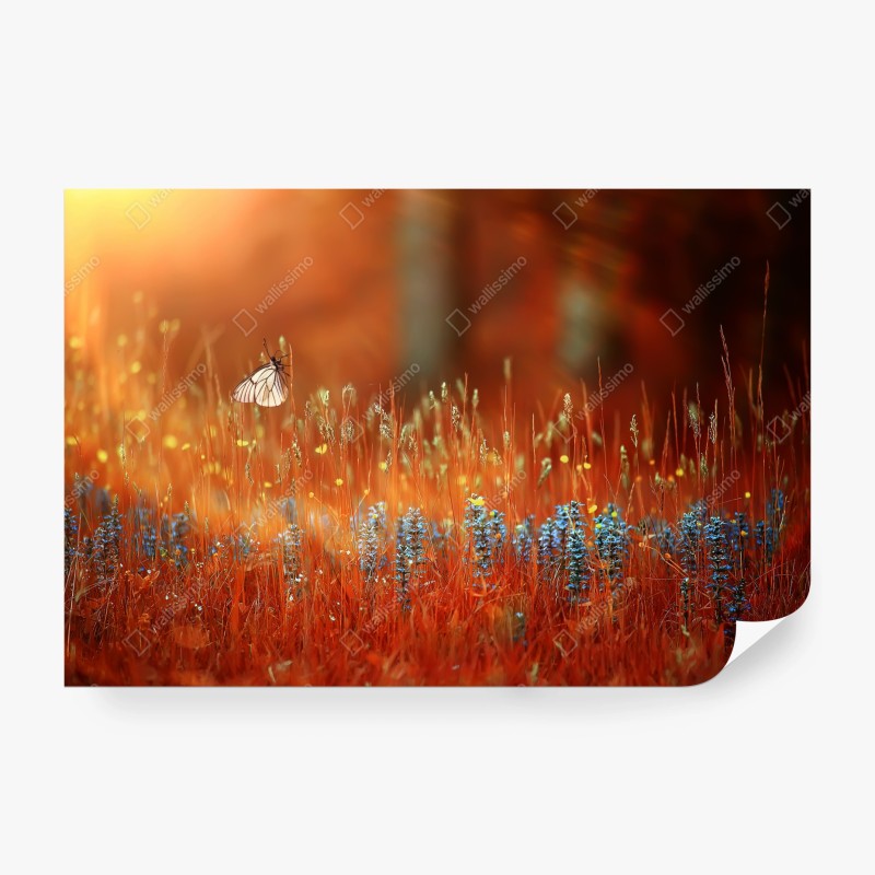 Schlafzimmer – Wallnifity®