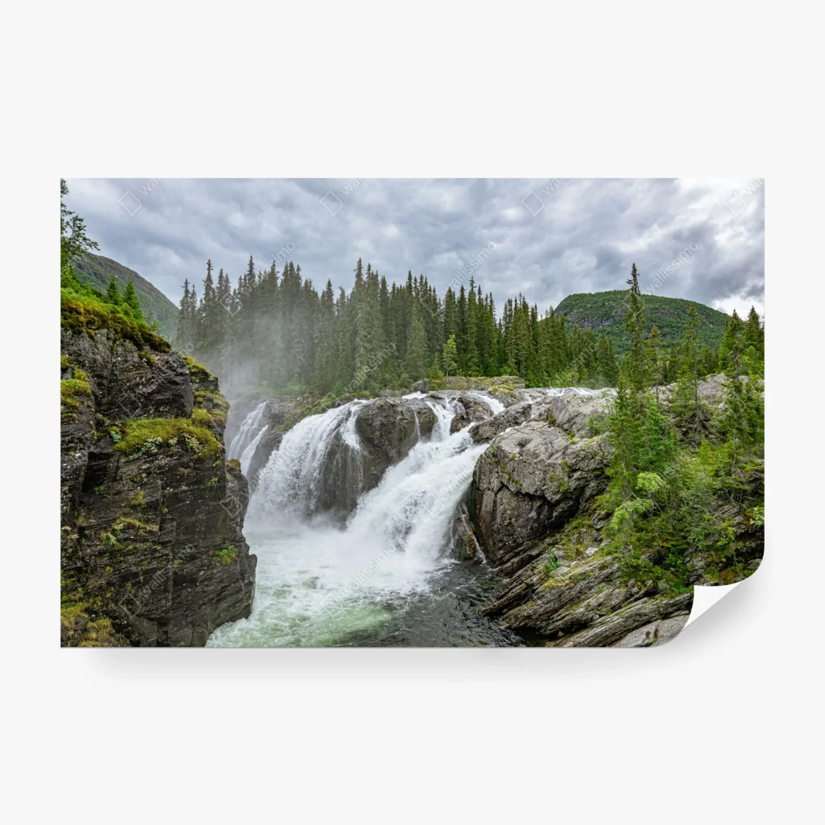 Fototapete nebliger wasserfall im dichten kiefernwald – Wallnifity®