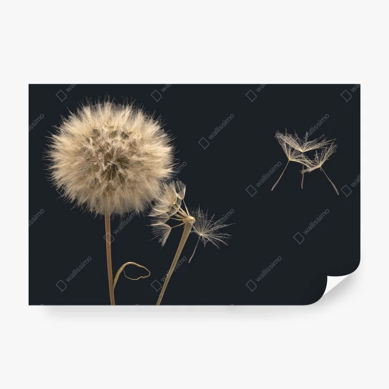 Blumen & Pflanzen – Wallnifity®