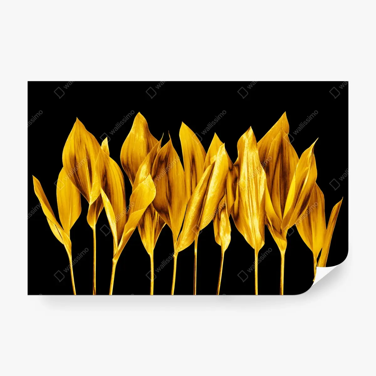 Fototapete goldene blätter auf schwarzem hintergrund – Wallnifity®