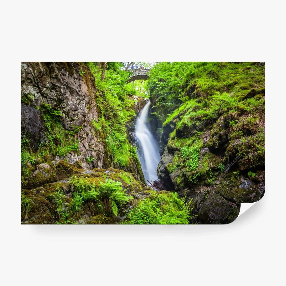Fototapete wasserfall in moosiger schlucht mit steinbrücke – Wallnifity® Fototapete wasserfall in moosiger schlucht mit steinbrücke – Wallnifity®