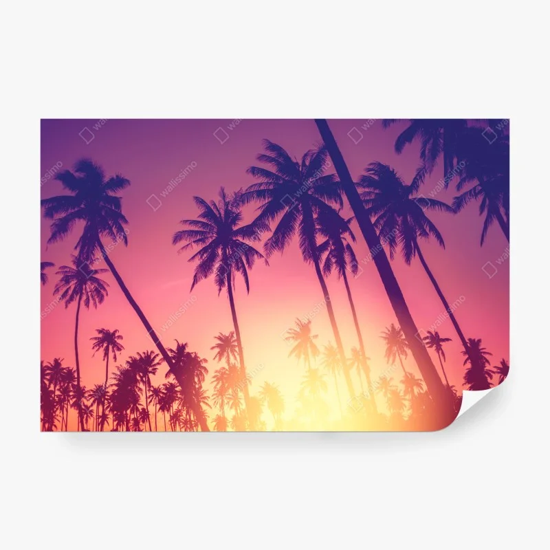 Vintage – Wallnifity®