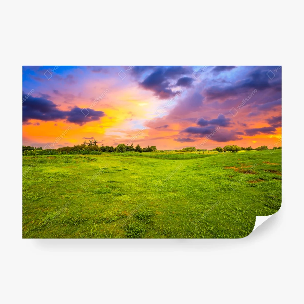 Fototapete sonnenuntergang über grüner wiese – Wallnifity®