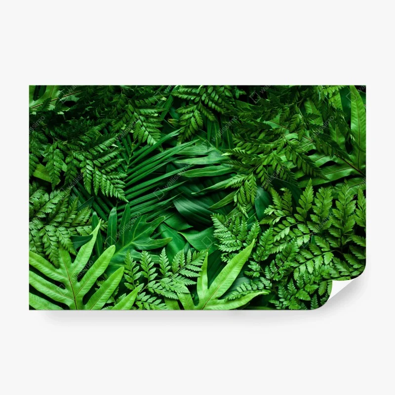 Wälder – Wallnifity®