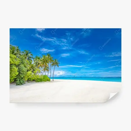 Fototapete tropischer strand mit palmen – Wallnifity®
