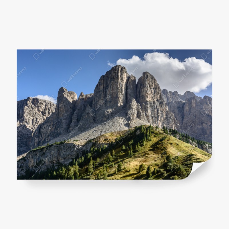 Fototapeten – Wallnifity®