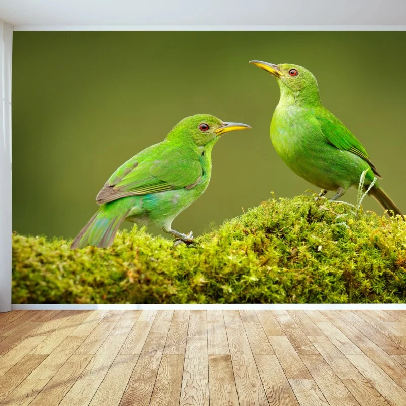Vögel – Wallnifity®