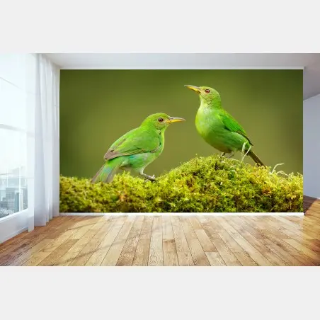 Fototapete lebendige grüne honigfresser auf moos – Wallnifity®