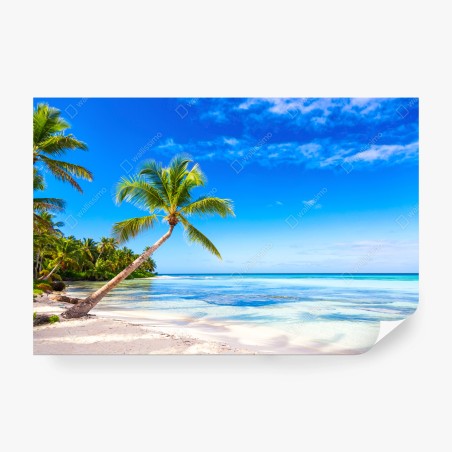 Fototapete tropischer palmenstrand – Wallnifity®