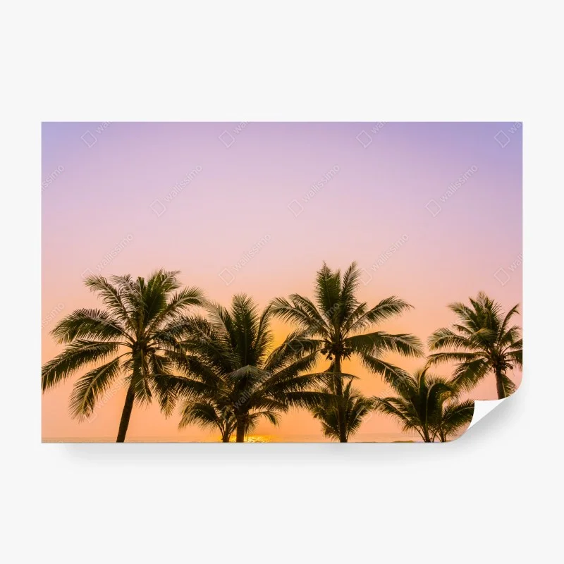 Strand – Wallnifity®