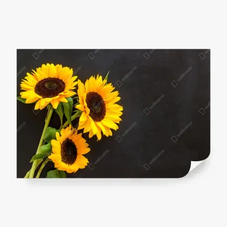 Fototapete sonnenblumenstrauß auf schwarzem hintergrund – Wallnifity®