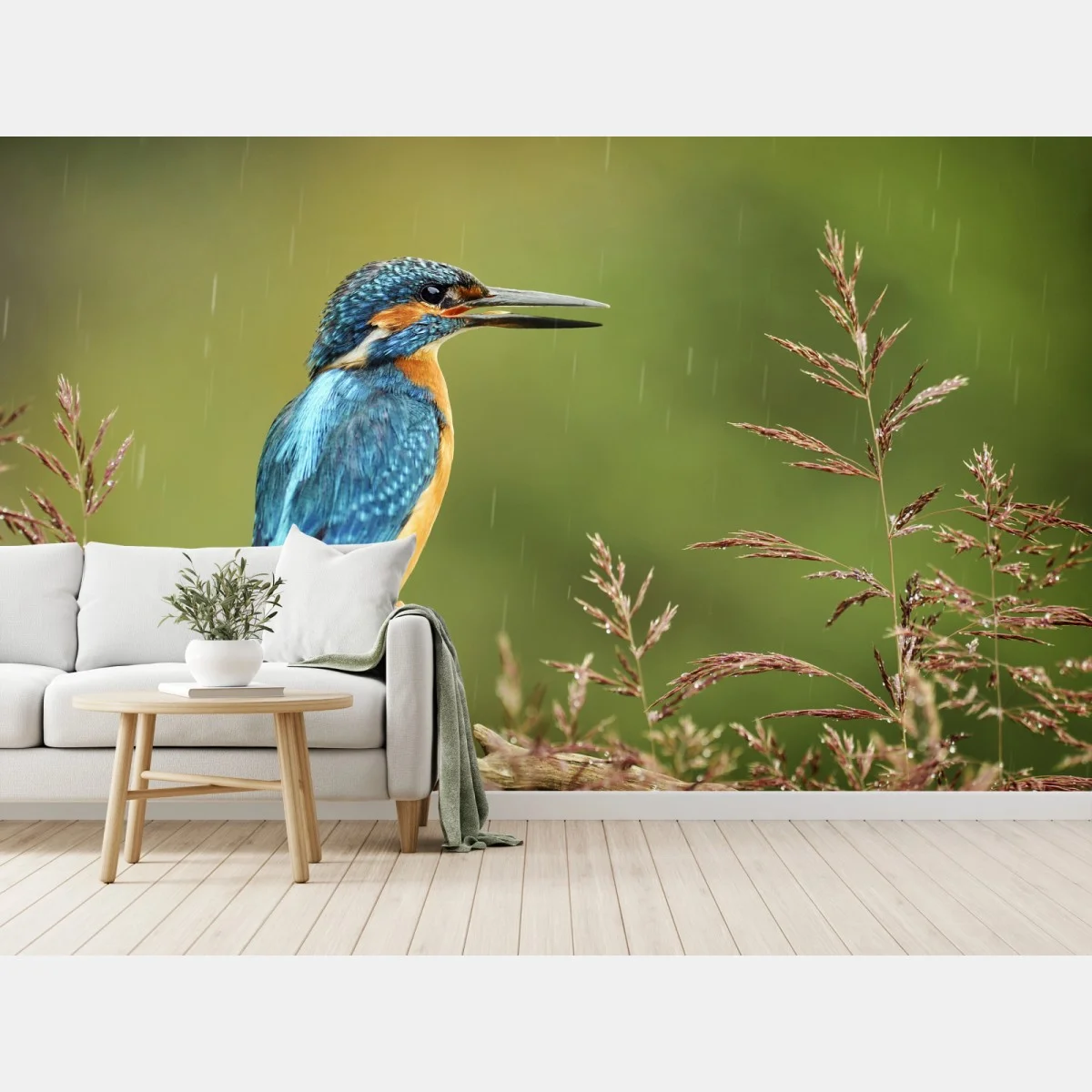 Fototapete lebhafter eisvogel im regen – Wallnifity® Fototapete lebhafter eisvogel im regen – Wallnifity®