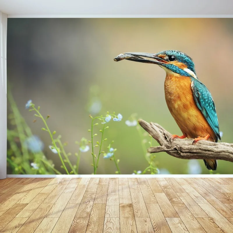 Vögel – Wallnifity®