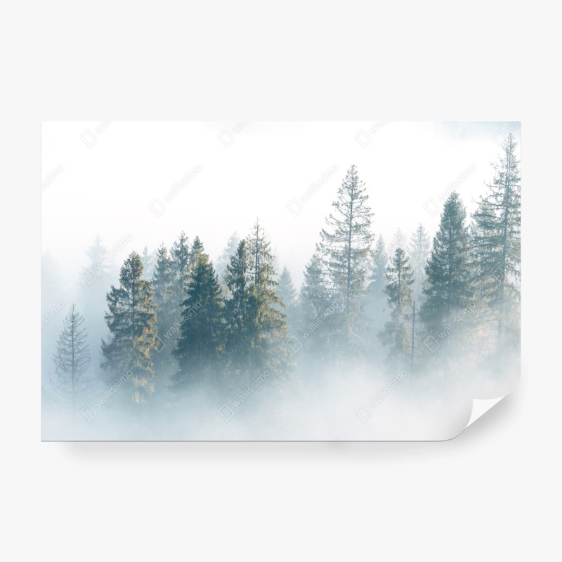 Natur – Wallnifity®