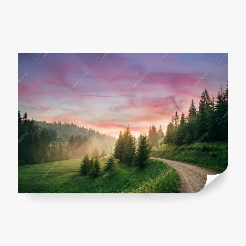 Wälder – Wallnifity®